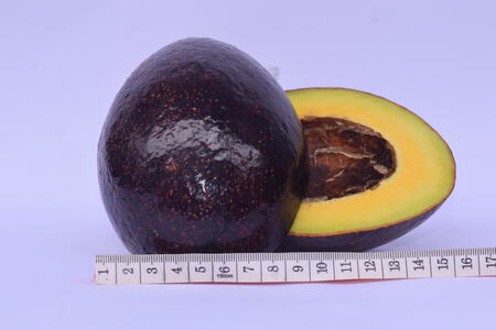 Avocado packing