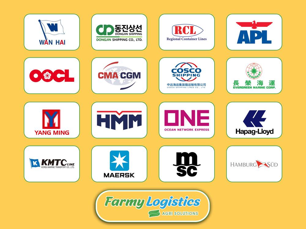 Aerial view of Vietnamese fruit farm and packing containers