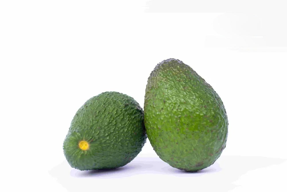 Avocados